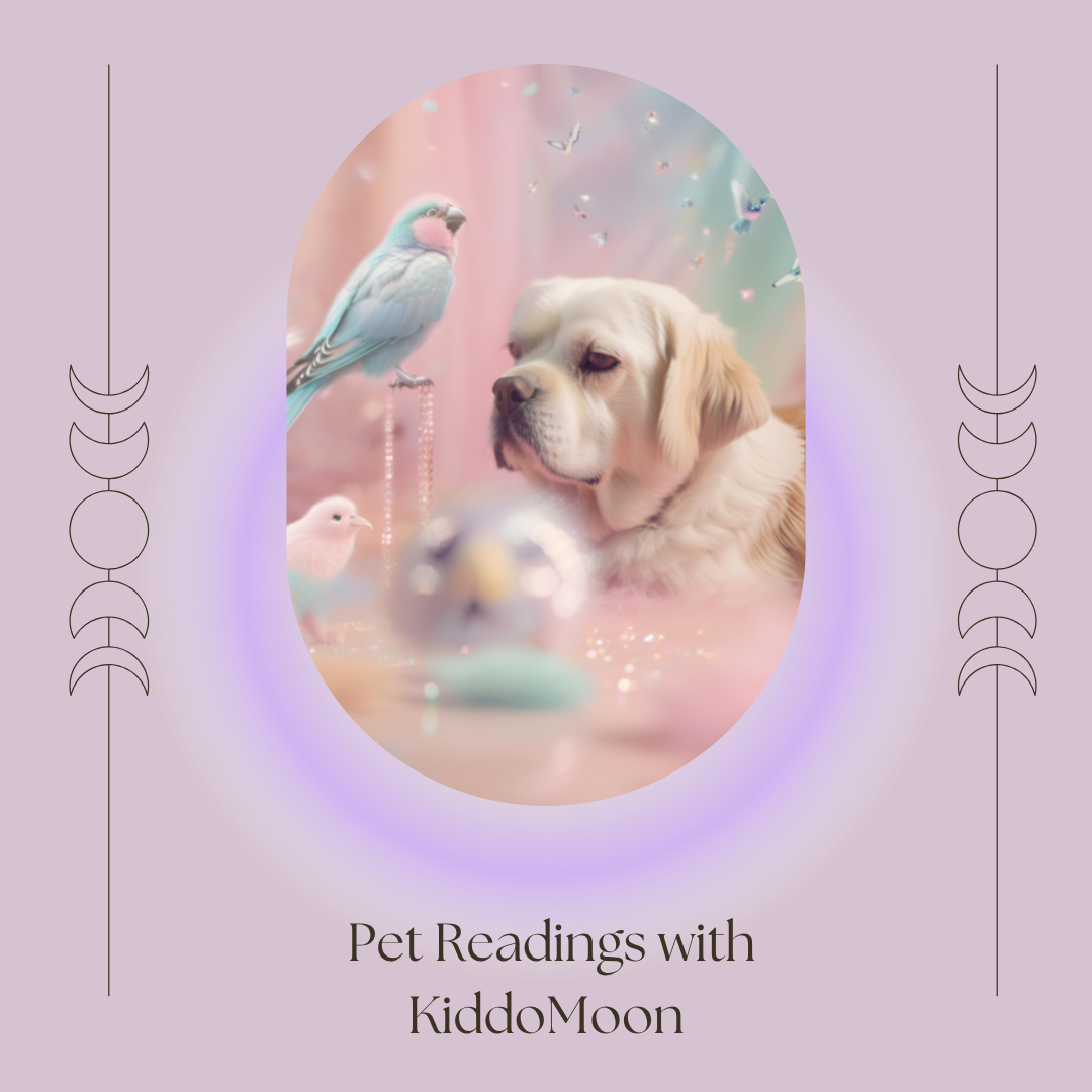 Intuitive Readings with Stacey